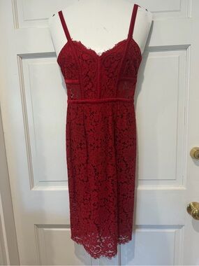 Express Burgundy Lace Midi Dress